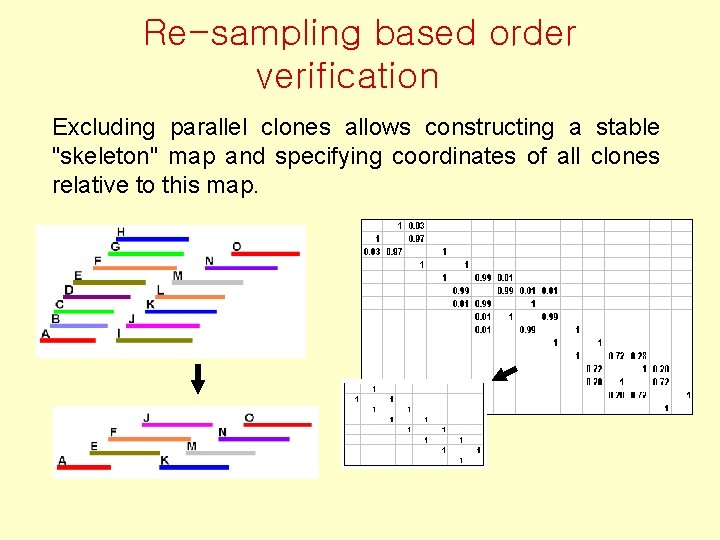 Re-sampling based order verification Excluding parallel clones allows constructing a stable "skeleton" map and