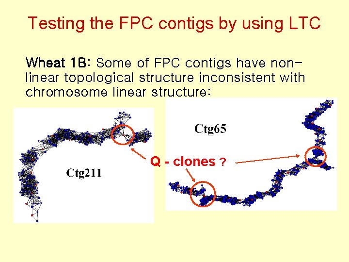 Testing the FPC contigs by using LTC Wheat 1 B: Some of FPC contigs