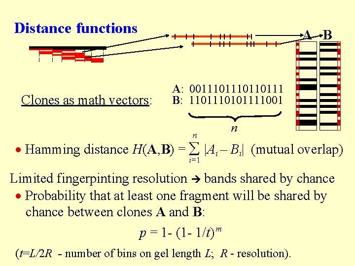 Distance functions Clones as math vectors: A B A: 001110110111 B: 110101111001 n n