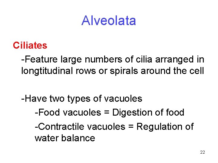 Alveolata Ciliates -Feature large numbers of cilia arranged in longtitudinal rows or spirals around