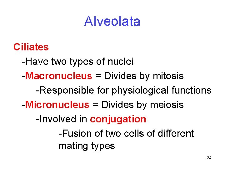 Alveolata Ciliates -Have two types of nuclei -Macronucleus = Divides by mitosis -Responsible for