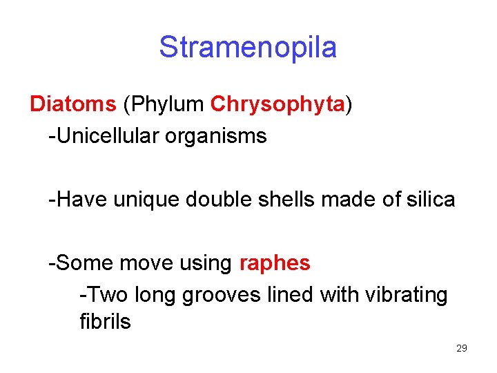 Stramenopila Diatoms (Phylum Chrysophyta) -Unicellular organisms -Have unique double shells made of silica -Some