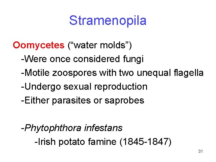 Stramenopila Oomycetes (“water molds”) -Were once considered fungi -Motile zoospores with two unequal flagella