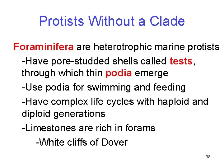 Protists Without a Clade Foraminifera are heterotrophic marine protists -Have pore-studded shells called tests,