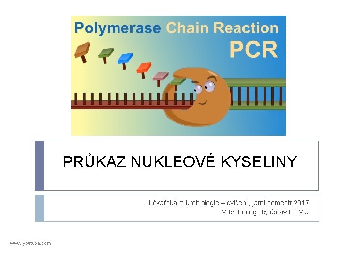 PRŮKAZ NUKLEOVÉ KYSELINY Lékařská mikrobiologie – cvičení, jarní semestr 2017 Mikrobiologický ústav LF MU