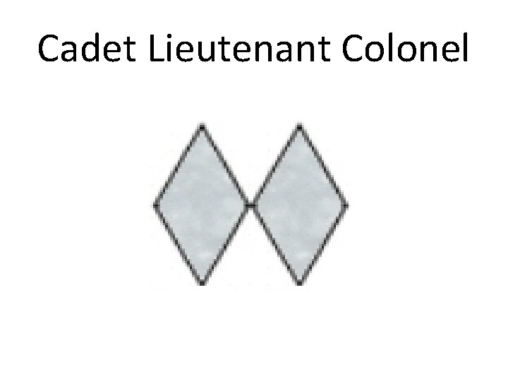 Cadet Lieutenant Colonel 