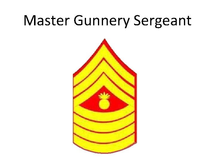 Master Gunnery Sergeant 