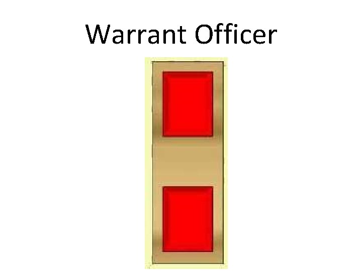 Warrant Officer 