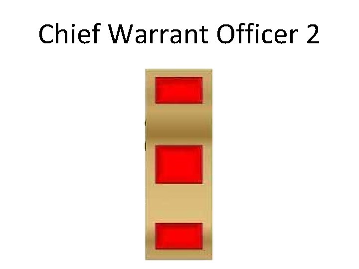 Chief Warrant Officer 2 