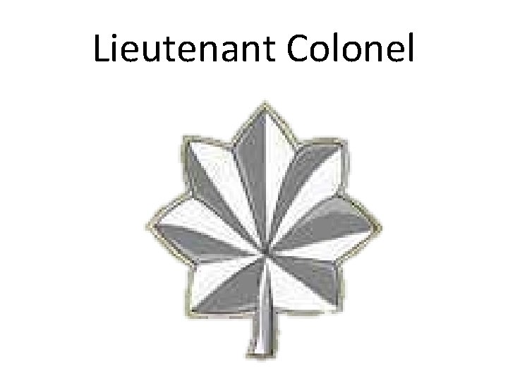 Lieutenant Colonel 