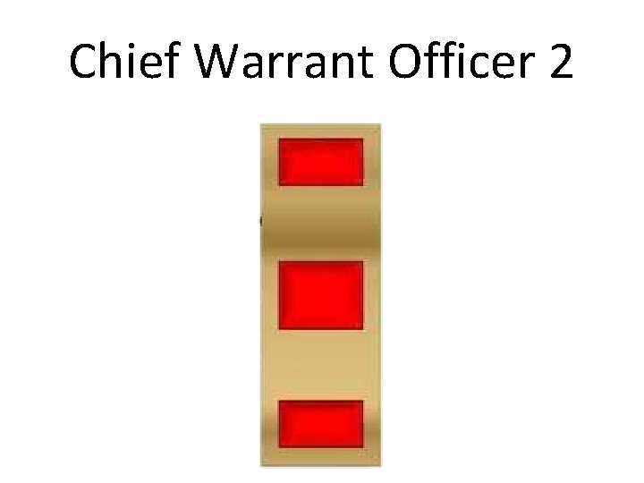 Chief Warrant Officer 2 