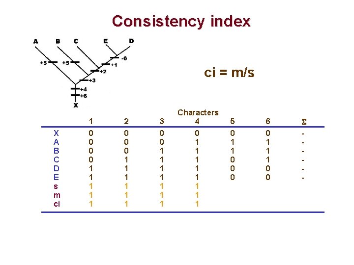 Consistency index ci = m/s X A B C D E s m ci
