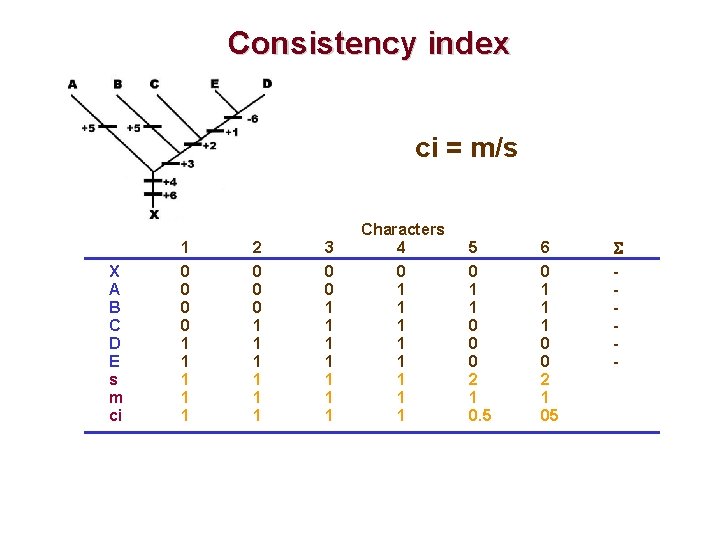 Consistency index ci = m/s X A B C D E s m ci