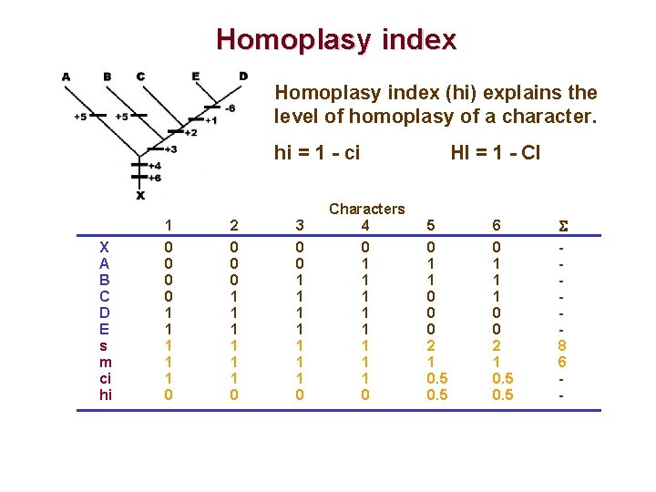 Homoplasy index (hi) explains the level of homoplasy of a character. hi = 1