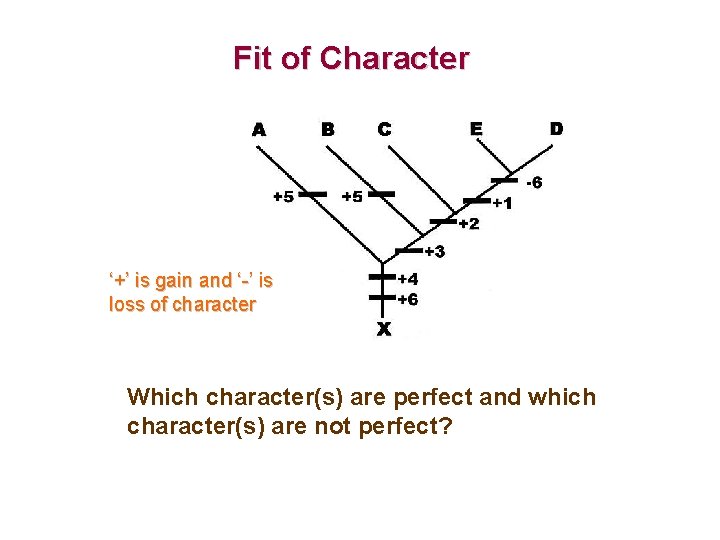 Fit of Character ‘+’ is gain and ‘-’ is loss of character Which character(s)