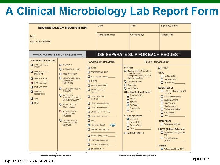 A Clinical Microbiology Lab Report Form Copyright © 2010 Pearson Education, Inc. Figure 10.