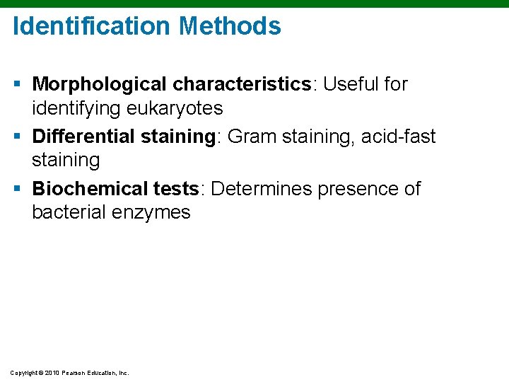 Identification Methods § Morphological characteristics: Useful for identifying eukaryotes § Differential staining: Gram staining,