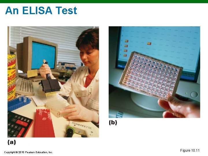 An ELISA Test Copyright © 2010 Pearson Education, Inc. Figure 10. 11 