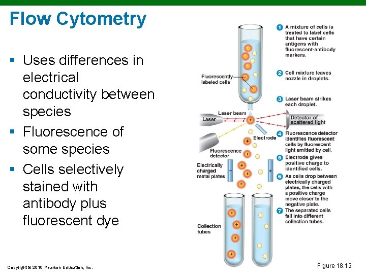 Flow Cytometry § Uses differences in electrical conductivity between species § Fluorescence of some