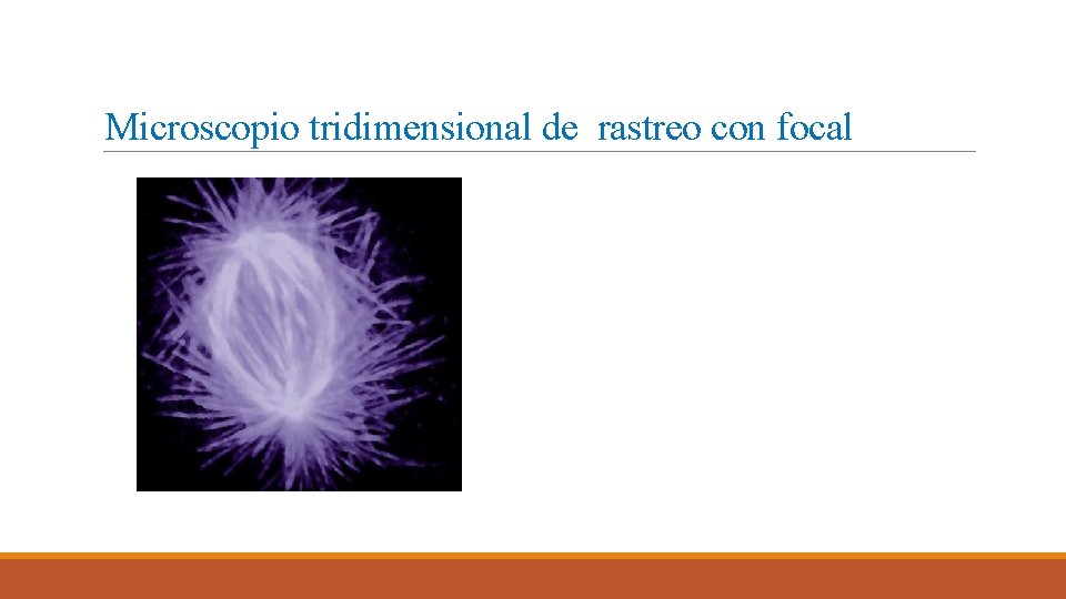 Microscopio tridimensional de rastreo con focal Microscopio tridimensional de rastreo con focal