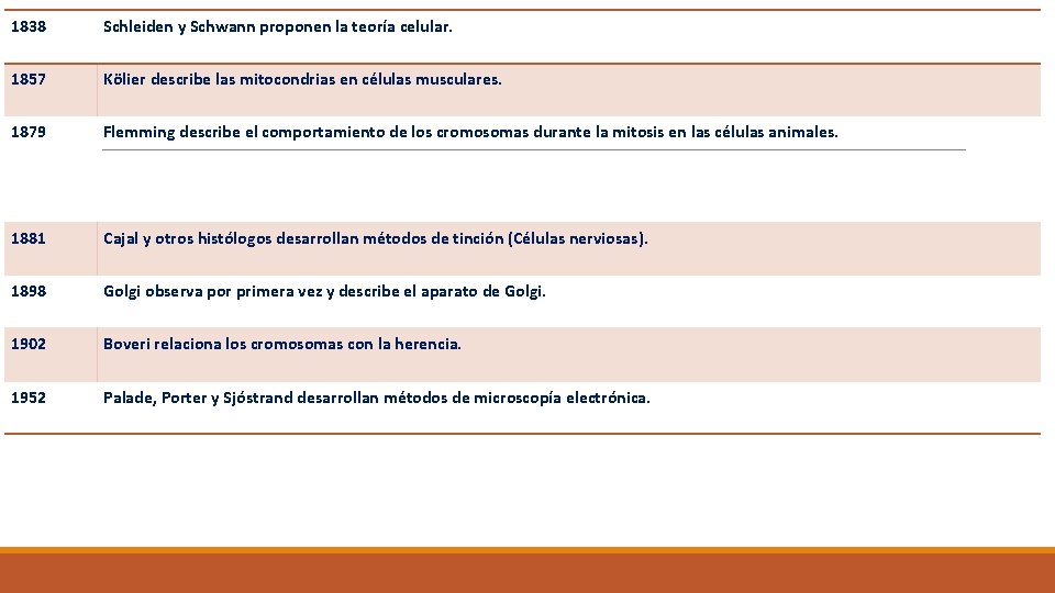 1838 Schleiden y Schwann proponen la teoría celular. 1857 Kölier describe las mitocondrias en 1838 Schleiden y Schwann proponen la teoría celular. 1857 Kölier describe las mitocondrias en