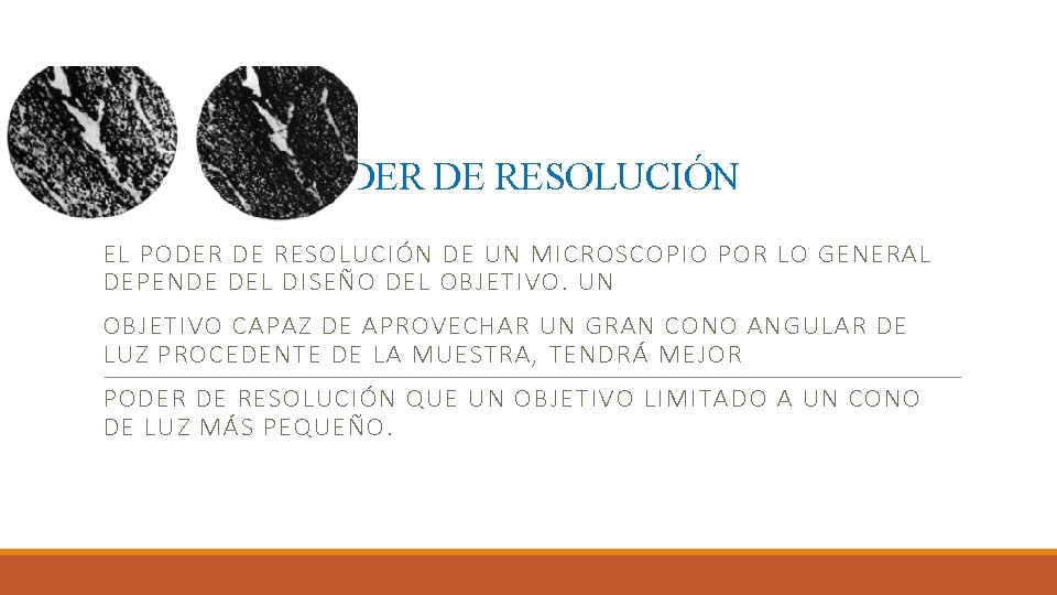 PODER DE RESOLUCIÓN EL PODER DE RESOLUCIÓN DE UN MICROSCOPIO POR LO GENERAL DEPENDE PODER DE RESOLUCIÓN EL PODER DE RESOLUCIÓN DE UN MICROSCOPIO POR LO GENERAL DEPENDE