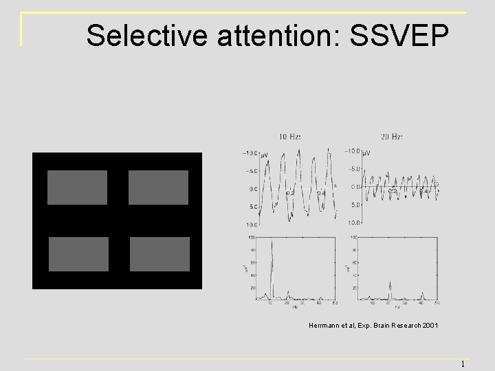 Selective attention: SSVEP Herrmann et al, Exp. Brain Research 2001 1 