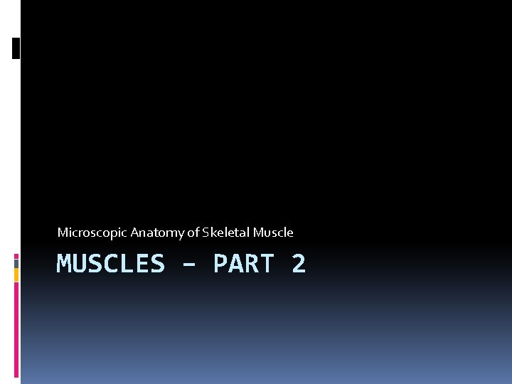 Microscopic Anatomy of Skeletal Muscle MUSCLES – PART 2 