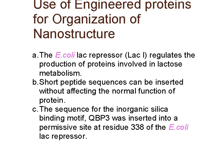 Use of Engineered proteins for Organization of Nanostructure a. The E. coli lac repressor