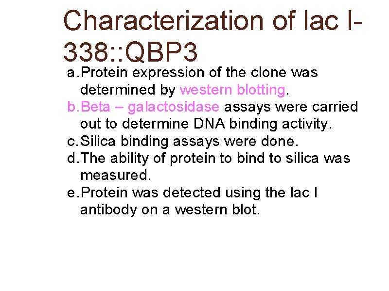 Characterization of lac I 338: : QBP 3 a. Protein expression of the clone