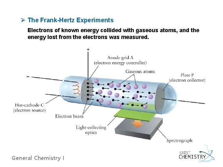 Ø The Frank-Hertz Experiments Electrons of known energy collided with gaseous atoms, and the