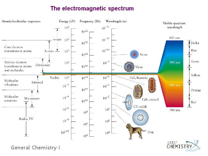 The electromagnetic spectrum General Chemistry I 