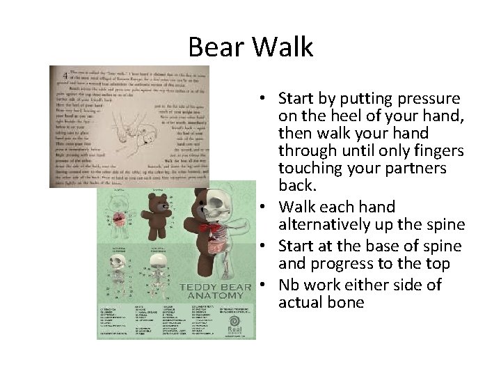 Bear Walk • Start by putting pressure on the heel of your hand, then