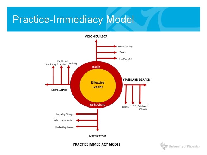 Practice-Immediacy Model 