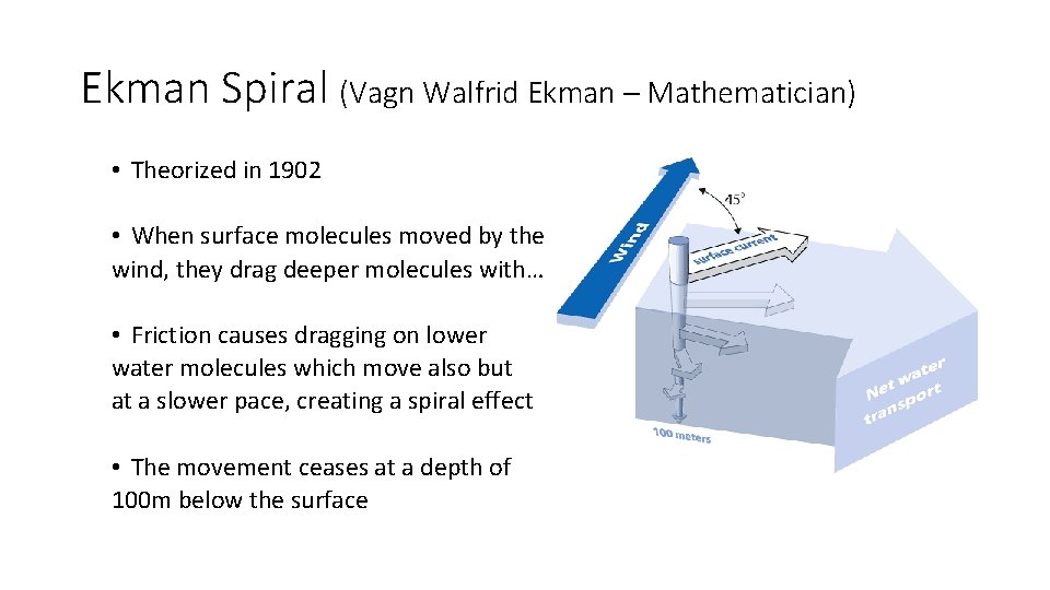 Ekman Spiral (Vagn Walfrid Ekman – Mathematician) • Theorized in 1902 • When surface