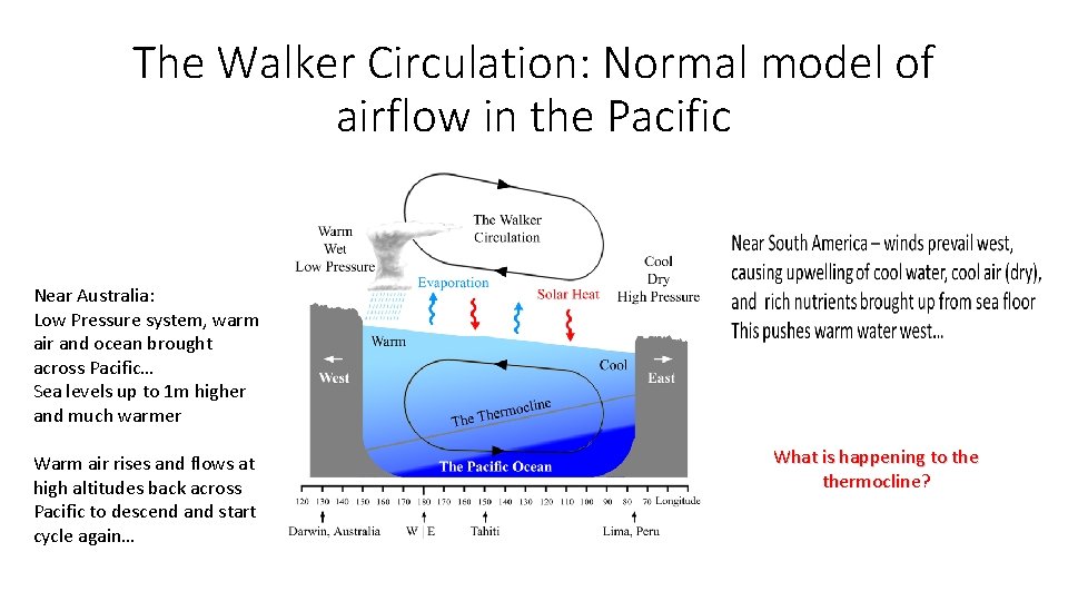 The Walker Circulation: Normal model of airflow in the Pacific Near Australia: Low Pressure