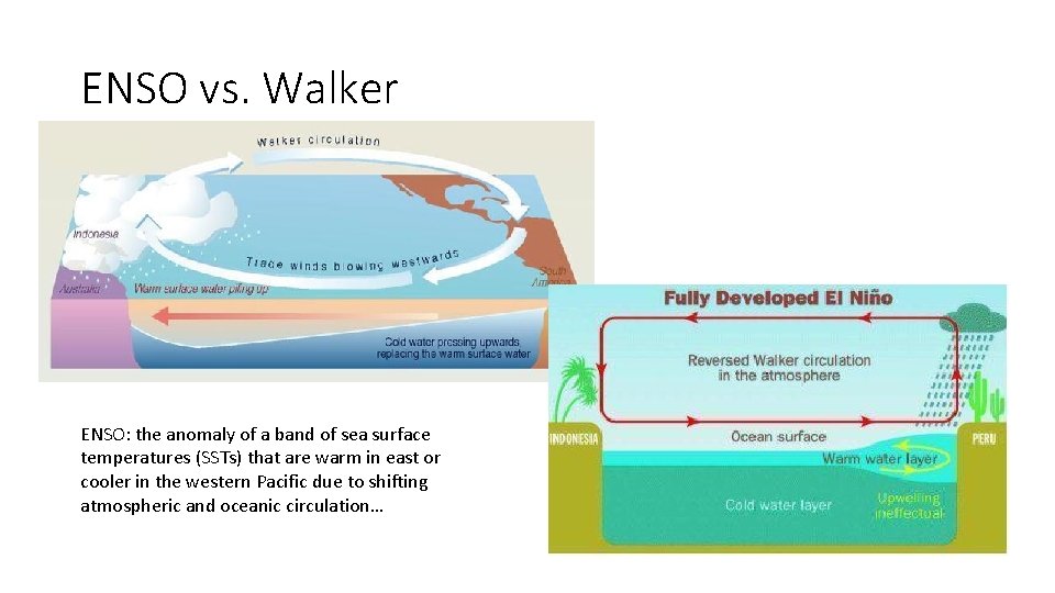 ENSO vs. Walker ENSO: the anomaly of a band of sea surface temperatures (SSTs)