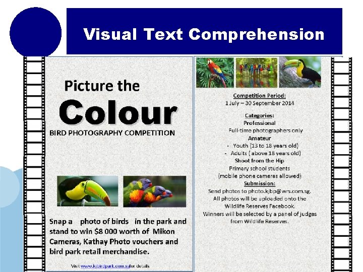 Visual Text Comprehension www. company. com 