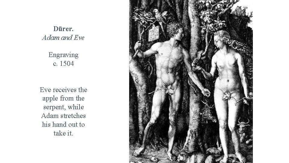 Dürer. Adam and Eve Engraving c. 1504 Eve receives the apple from the serpent,