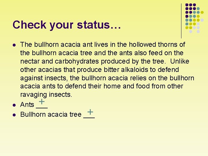 Check your status… l l l The bullhorn acacia ant lives in the hollowed