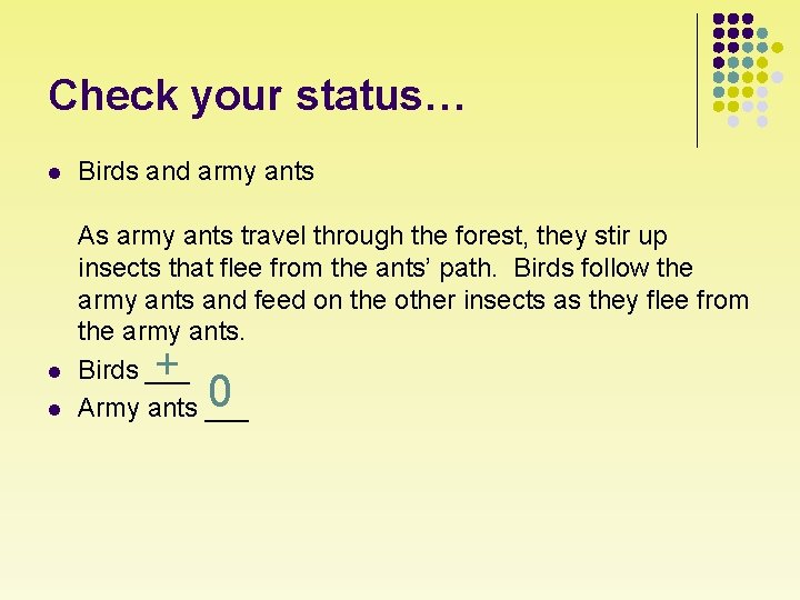 Check your status… l l l Birds and army ants As army ants travel