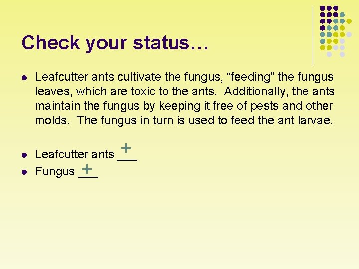 Check your status… l Leafcutter ants cultivate the fungus, “feeding” the fungus leaves, which