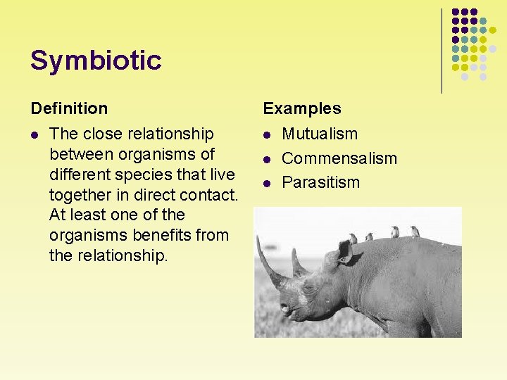 Symbiotic Definition l The close relationship between organisms of different species that live together