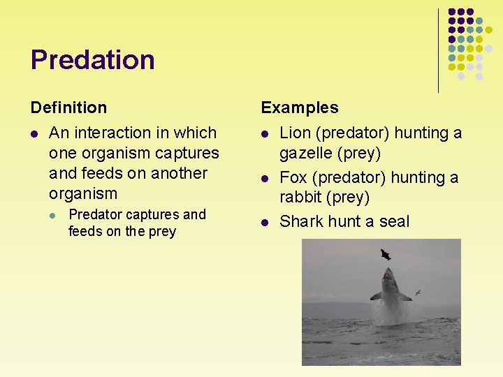 Predation Definition l An interaction in which one organism captures and feeds on another
