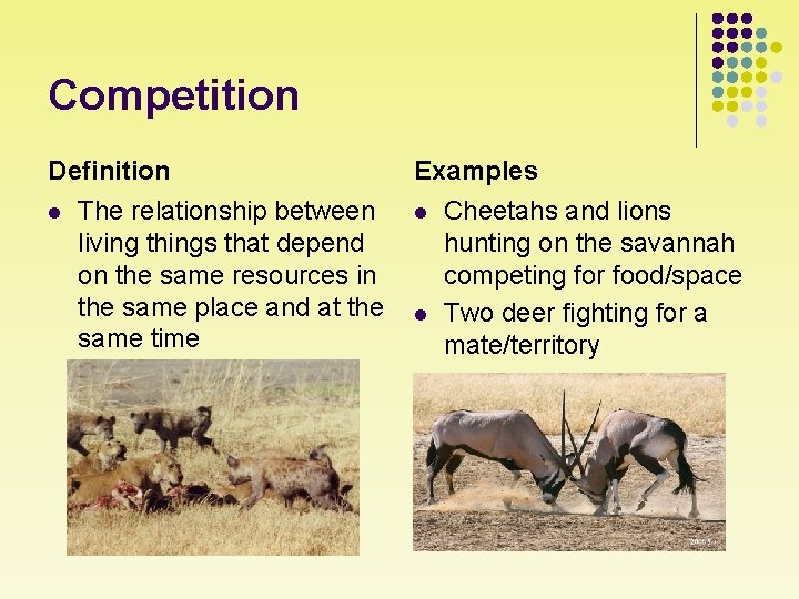 Competition Definition l The relationship between living things that depend on the same resources