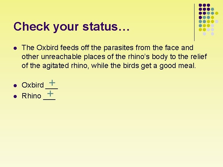 Check your status… l The Oxbird feeds off the parasites from the face and