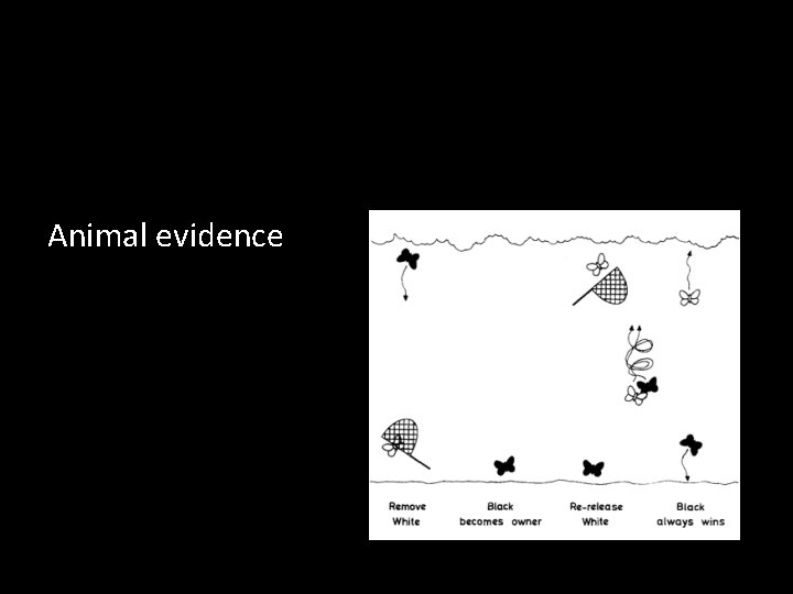 Animal evidence Animal evidence