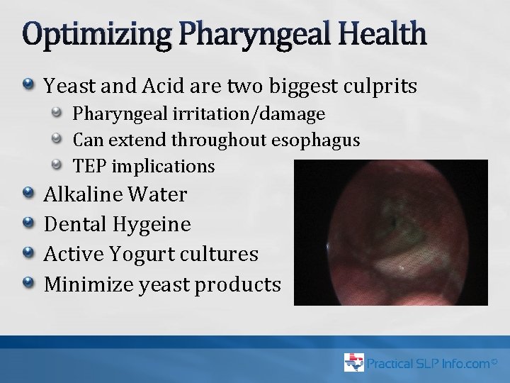 Optimizing Pharyngeal Health Yeast and Acid are two biggest culprits Pharyngeal irritation/damage Can extend