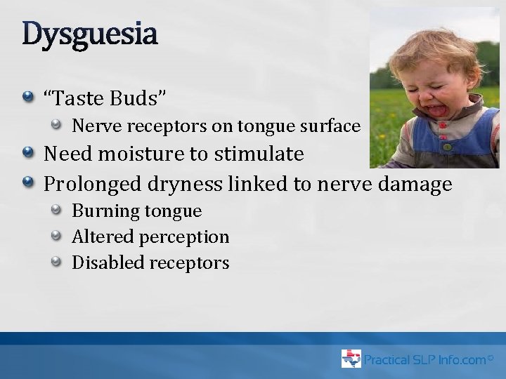 Dysguesia “Taste Buds” Nerve receptors on tongue surface Need moisture to stimulate Prolonged dryness