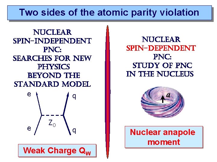 Two sides of the atomic parity violation nuclear spin-independent pnc: searches for new physics